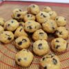 Almond Choc Chip Cookie